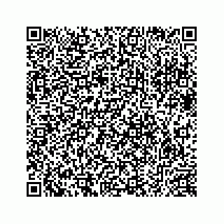 vCard 78632729153