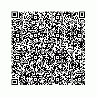 vCard 78632729181