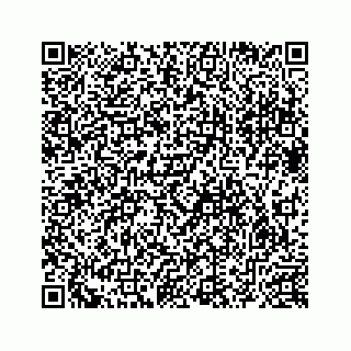 vCard 78632729187