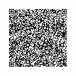 vCard 78632729203