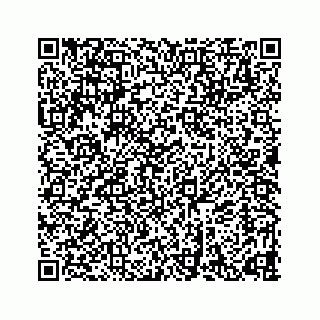 vCard 78632729208