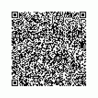 vCard 78632729265