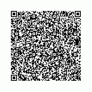 vCard 78632729271