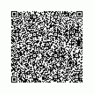 vCard 78632729280