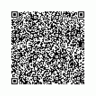 vCard 78632729295