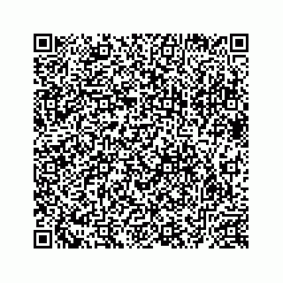 vCard 78632729296
