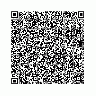 vCard 78632729299