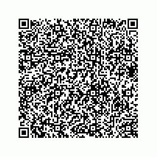 vCard 78632829653