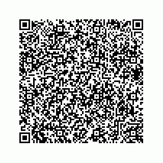 vCard 78633040001