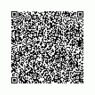 vCard 78633040080