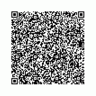 vCard 78633040081