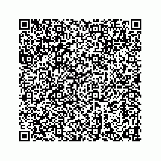 vCard 78633040113