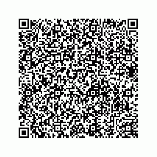 vCard 78633040200