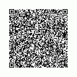 vCard 78633040272
