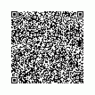 vCard 78633040300