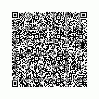 vCard 78633040308