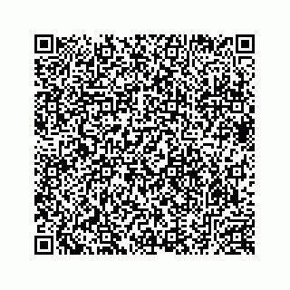 vCard 78633040311