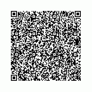 vCard 78633040333