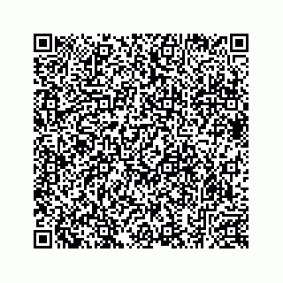 vCard 78633040335