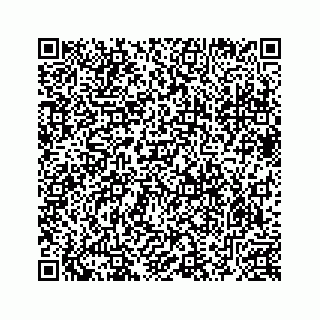 vCard 78633040380