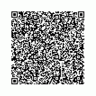 vCard 78633040381