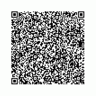 vCard 78633040385