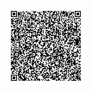 vCard 78633040387
