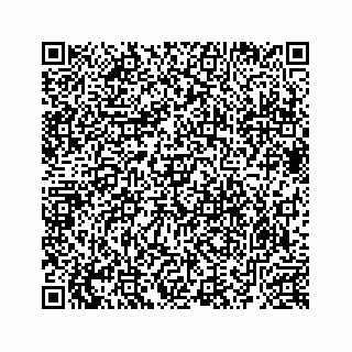 vCard 78633040399