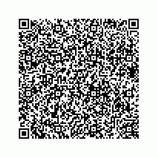 vCard 78633200410