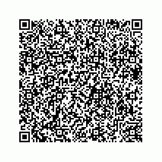 vCard 78633200411