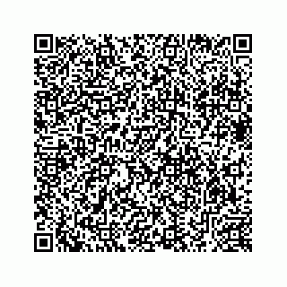 vCard 78633200519