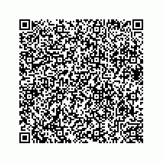 vCard 78633200529