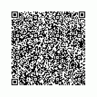 vCard 78633200531