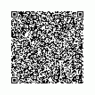 vCard 78633201703