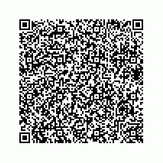 vCard 78633220389
