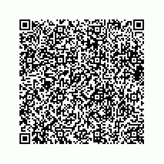 vCard 78634593351