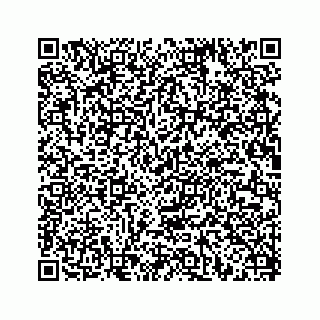 vCard 78634593381