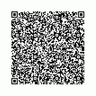 vCard 78634593389