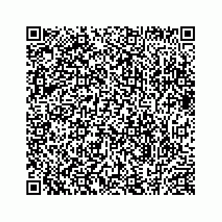 vCard 78634733233