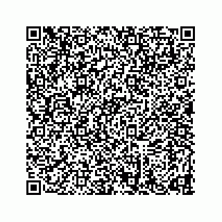 vCard 78634733239