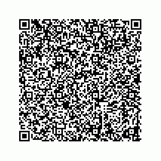 vCard 78634733241