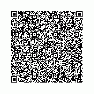vCard 78634733249