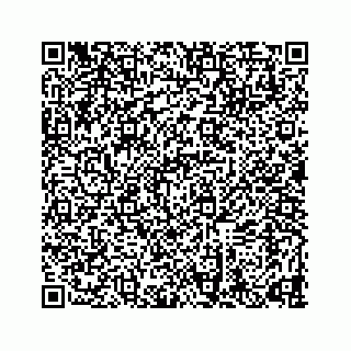 vCard 78634733260