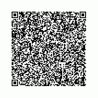vCard 78634733281