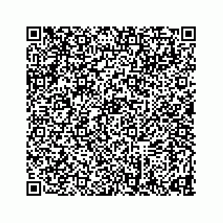 vCard 78634733285
