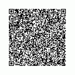 vCard 78634733299