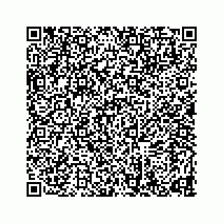 vCard 78634733310