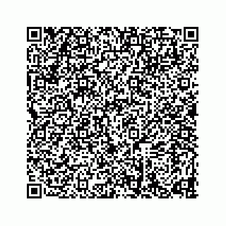 vCard 78634733311