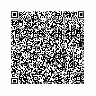 vCard 78634733313