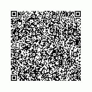 vCard 78634733317
